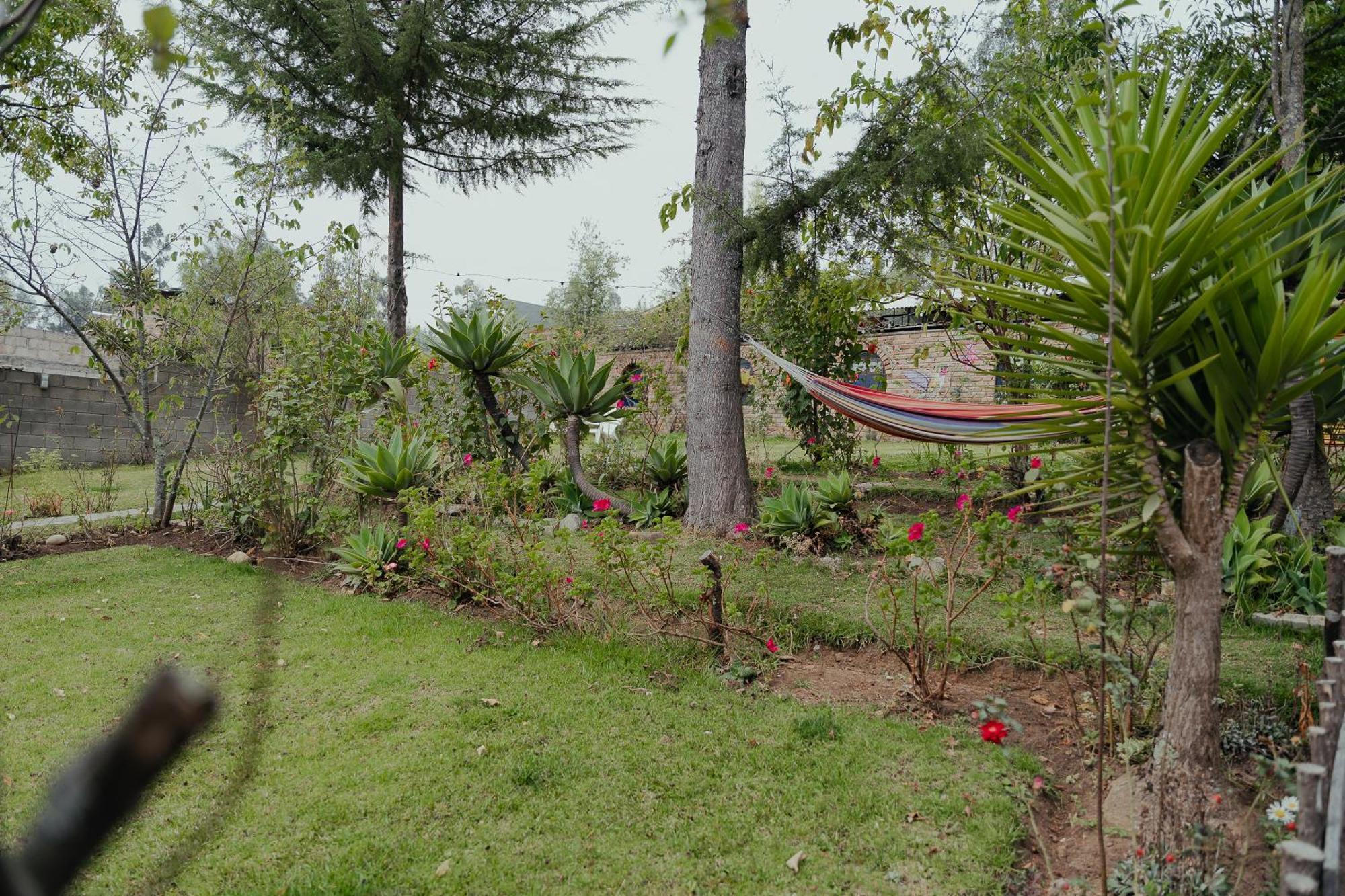 Kinti Wasi Casa De Campo Hospedaje Los Banos del Inca Ngoại thất bức ảnh
