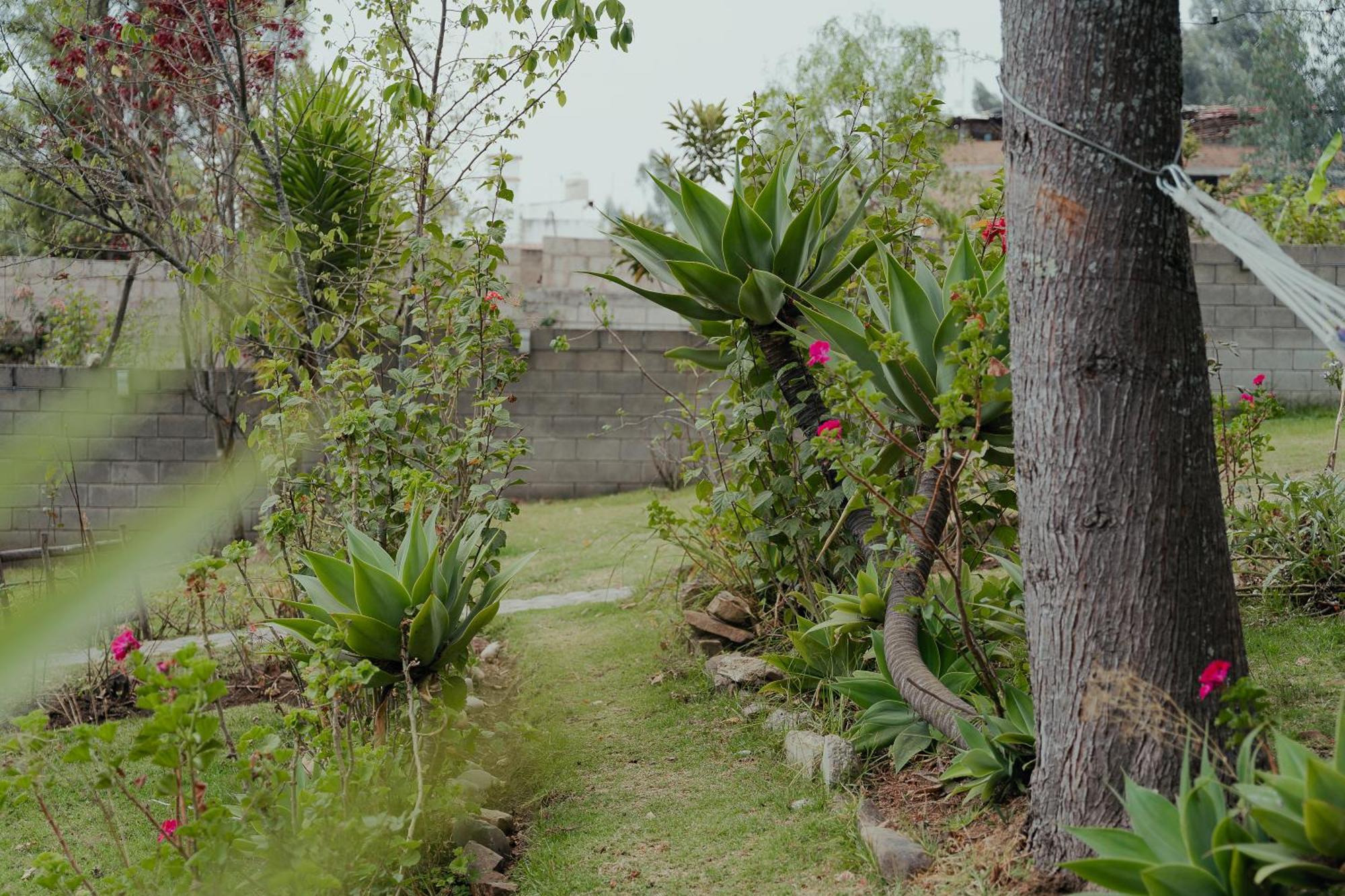 Kinti Wasi Casa De Campo Hospedaje Los Banos del Inca Ngoại thất bức ảnh
